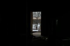 Looking Out Back Through the Porch Door